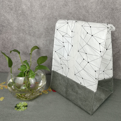 Tyvek sac à dos rectangulaire sac de rangement de couches isolé Solution d' organisation alimentaire
