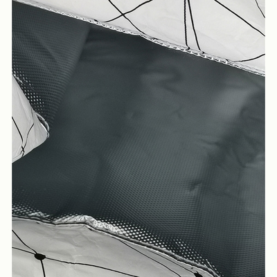 Tyvek sac à dos rectangulaire sac de rangement de couches isolé Solution d' organisation alimentaire